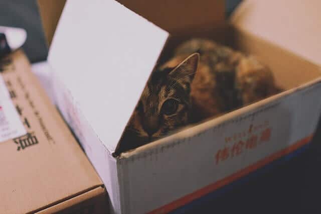 carton chat