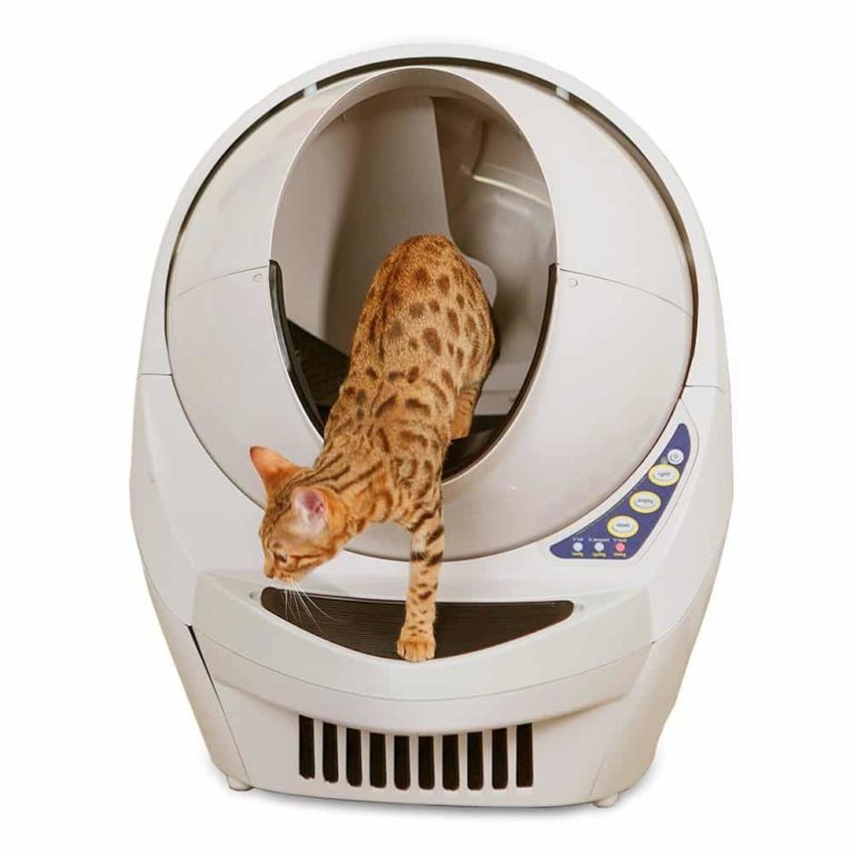 Litter Robot 3 Notre avis sur la litière haut de gamme