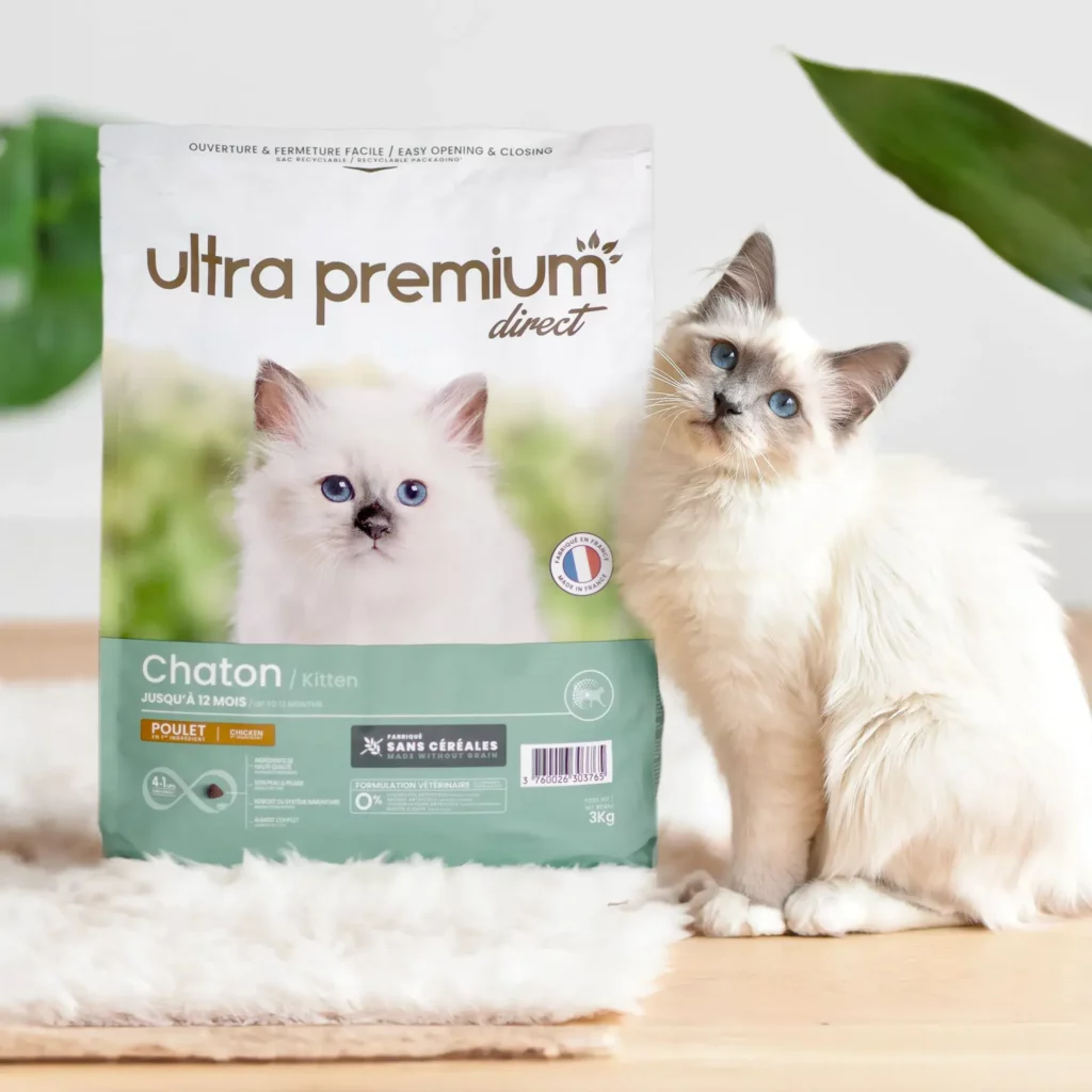 chaton croquette ultra premium direct (1)