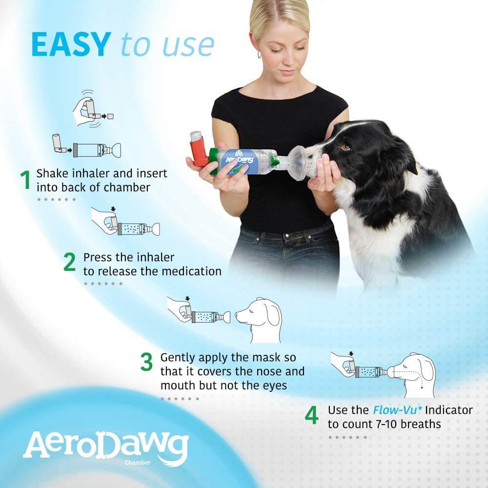 aerodawg inhalateur pour chien (1)