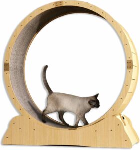 C'ESTBON Roue pour Chat Grande Roue en Bois