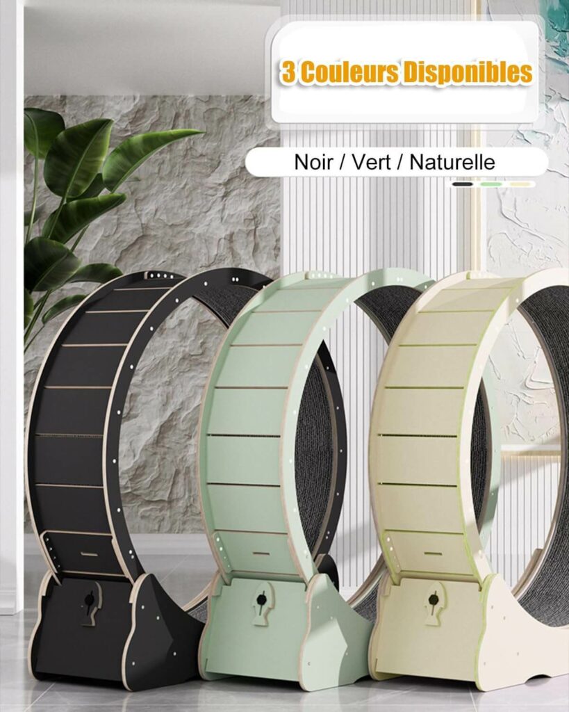 MIWOOYY Roue pour Chat 3 couleurs