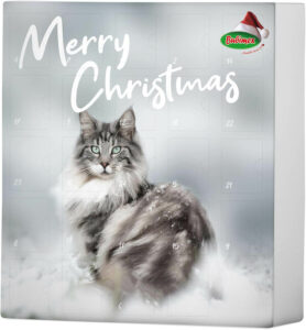 Bubimex Calendrier de l’Avent pour Chat