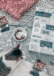 calendrier de l'avent boxiland pour chat