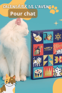 lilys kitchen calendrier pour chat